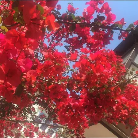 Alayaz Bed & Breakfast Alacati