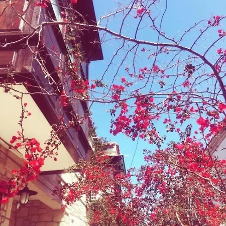 Alayaz Alacati