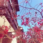 Alayaz