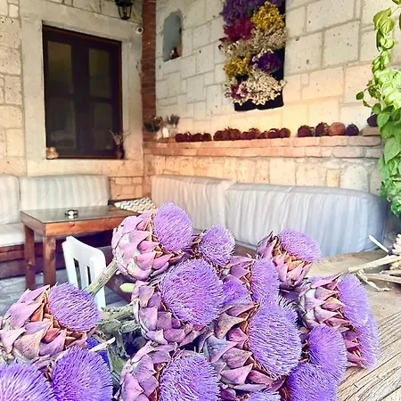 Alayaz Bed and breakfast 3*