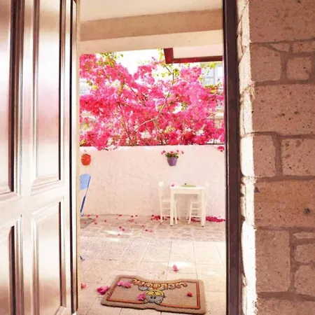 Alayaz Boutique