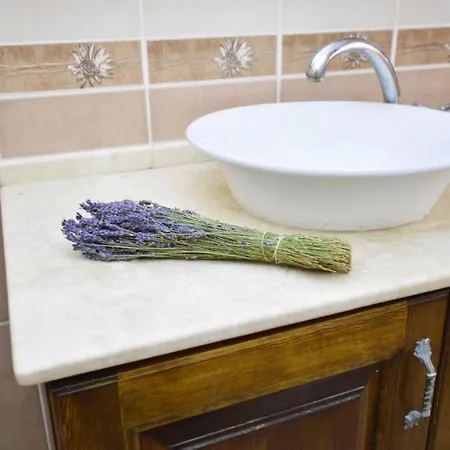 Bed & Breakfast Alayaz